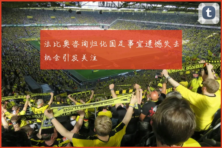 法比奥咨询归化国足事宜遗憾失去机会引发关注