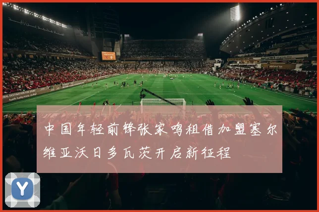 中国年轻前锋张家鸣租借加盟塞尔维亚沃日多瓦茨开启新征程